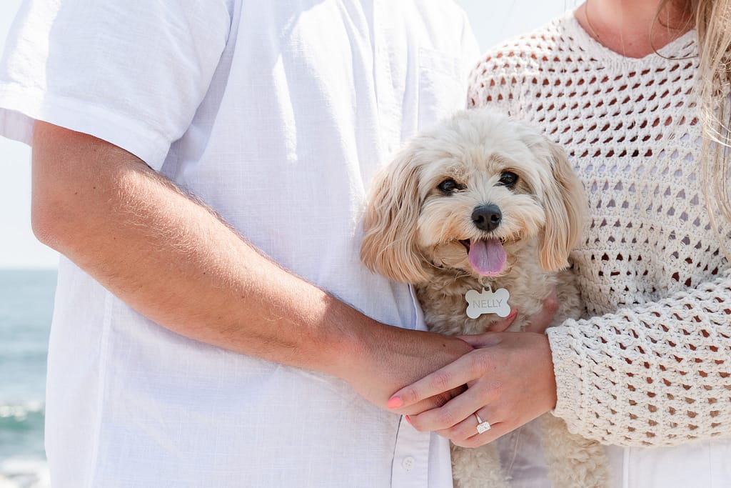 cockapoo and engagement ring