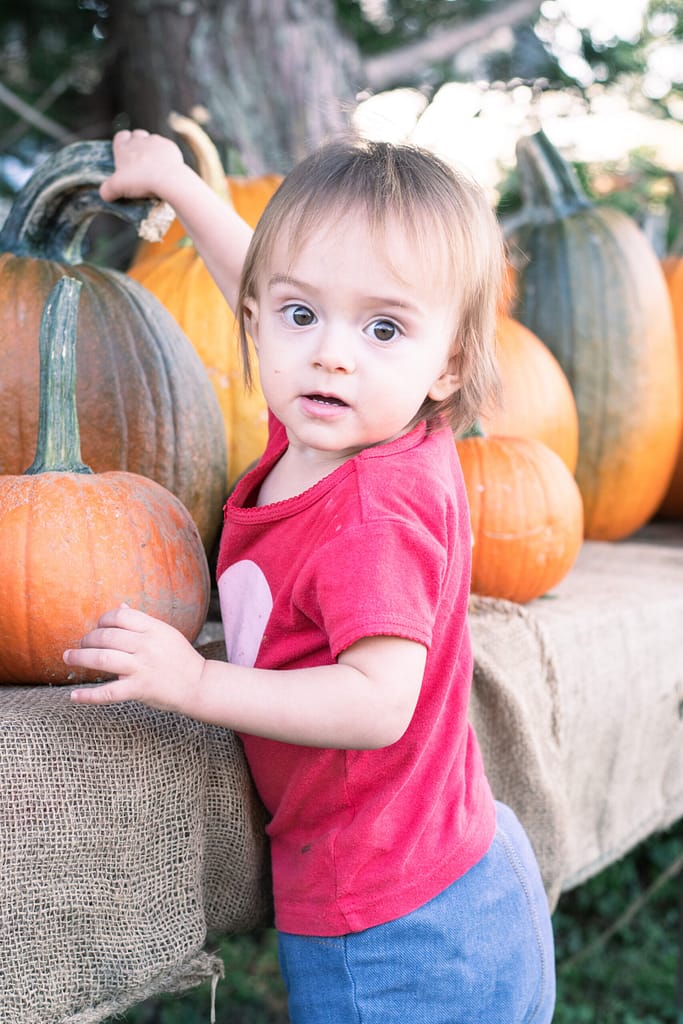 family photos with pumpkin at sweet berry farm