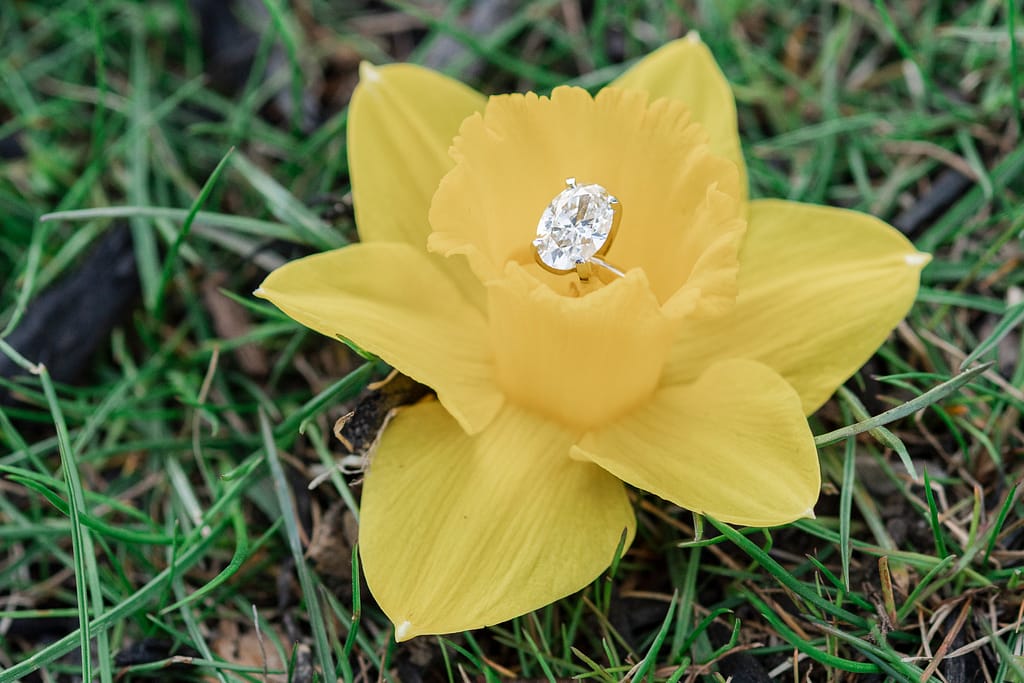 oval cut diamond ring in daffodil