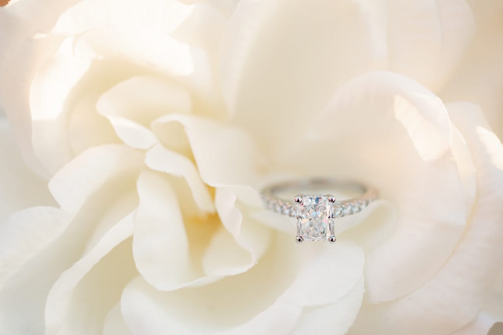 engagement ring on white rose