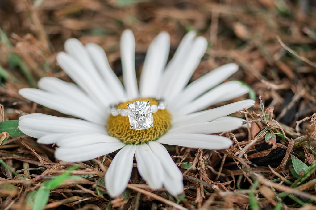 engagement ring on daisy