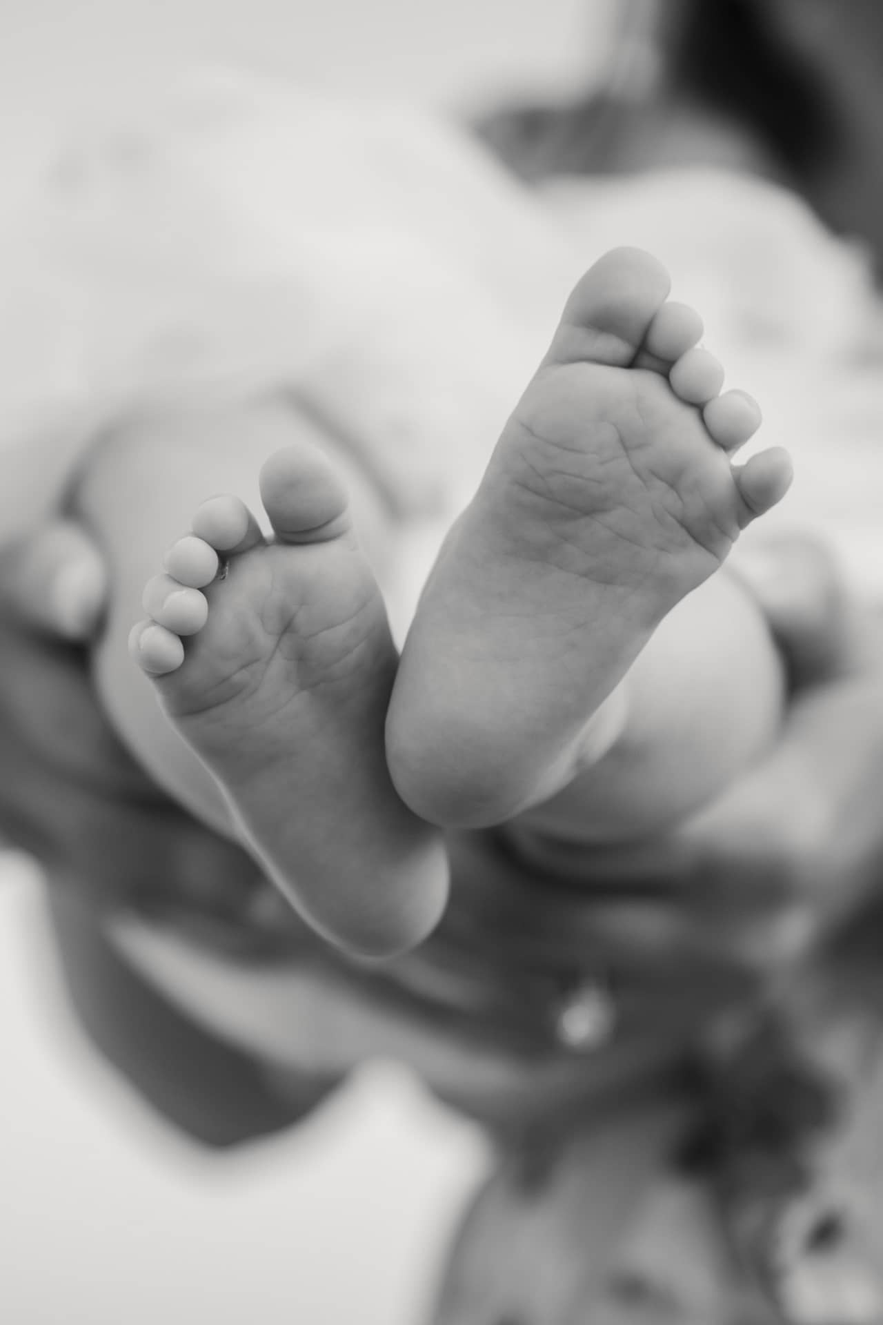 tiny baby feet in newborn photography session
